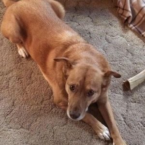 Meet your Posher, Lori